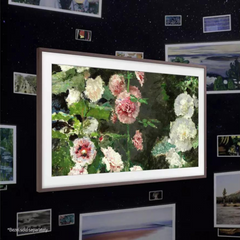 Samsung QE85LS03BGU The Frame 85" QLED 4K Smart TV Digiland Outlet Store