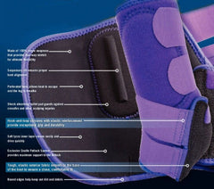 HIND PAIR Classic Equine Legacy2 System with Fetlock and Suspensory Support
