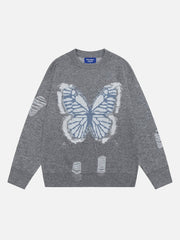 Aelfric Eden Fringe Distressed Butterfly Sweater