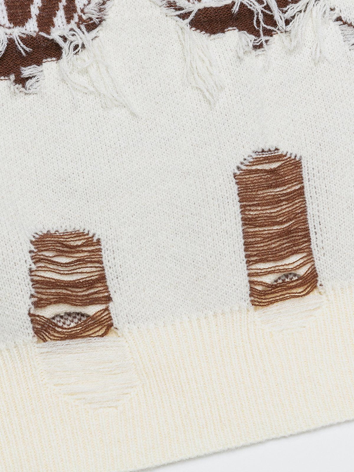 Aelfric Eden Fringe Distressed Butterfly Sweater