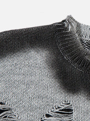 Aelfric Eden Butterfly Distressed Washed Sweater