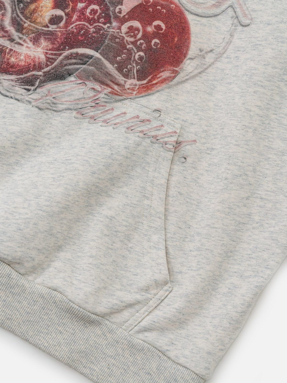Aelfric Eden Cherry Print Hoodie