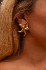Golden Loise Earrings