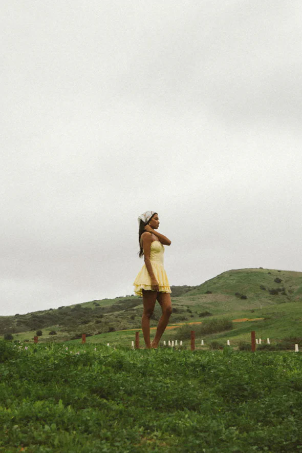 Dixie Bustier Mini Dress