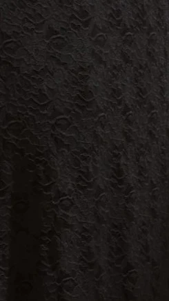 Cerelia Maxi Dress - Black Lace