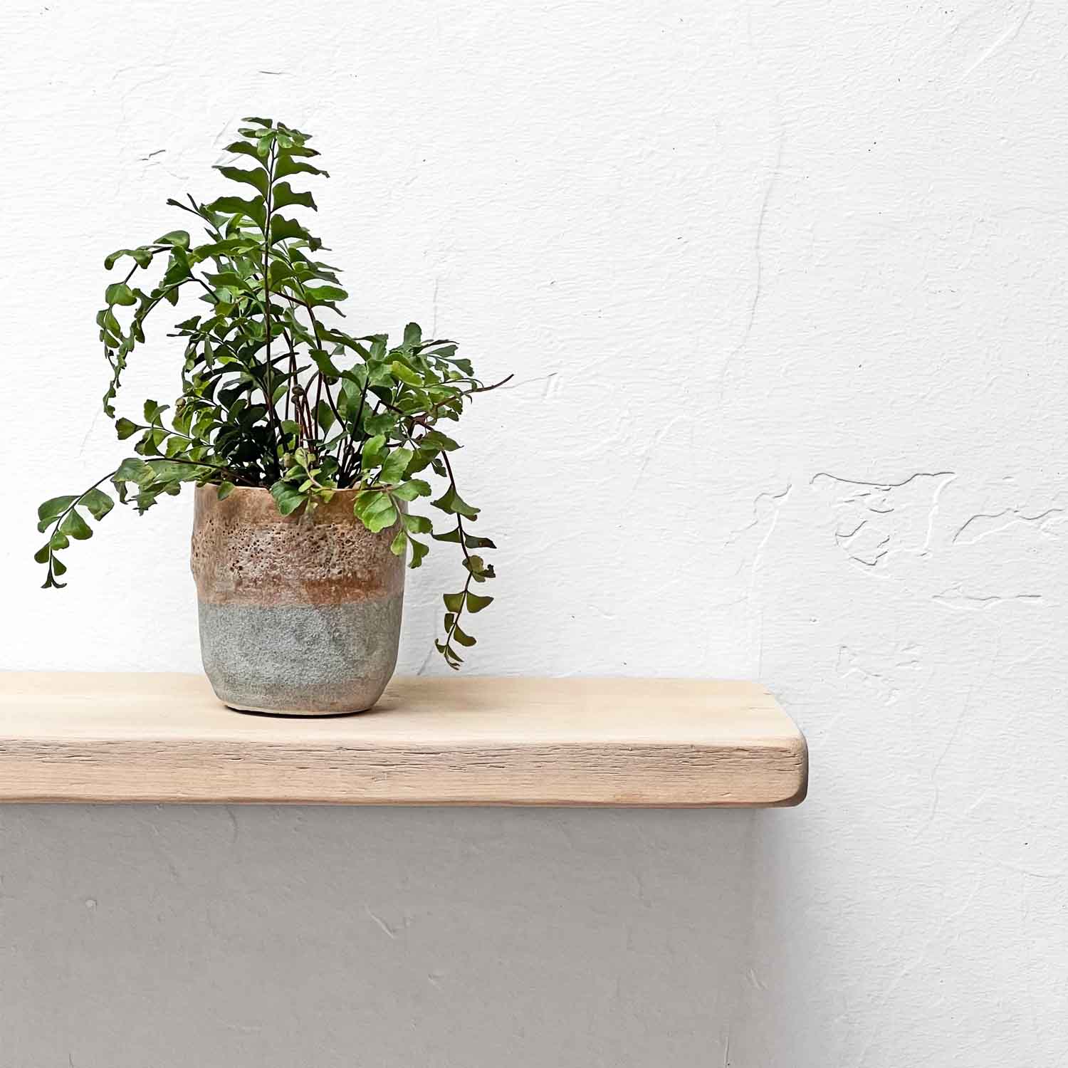 Rustic Floating Shelf | Thin | 15cm Depth