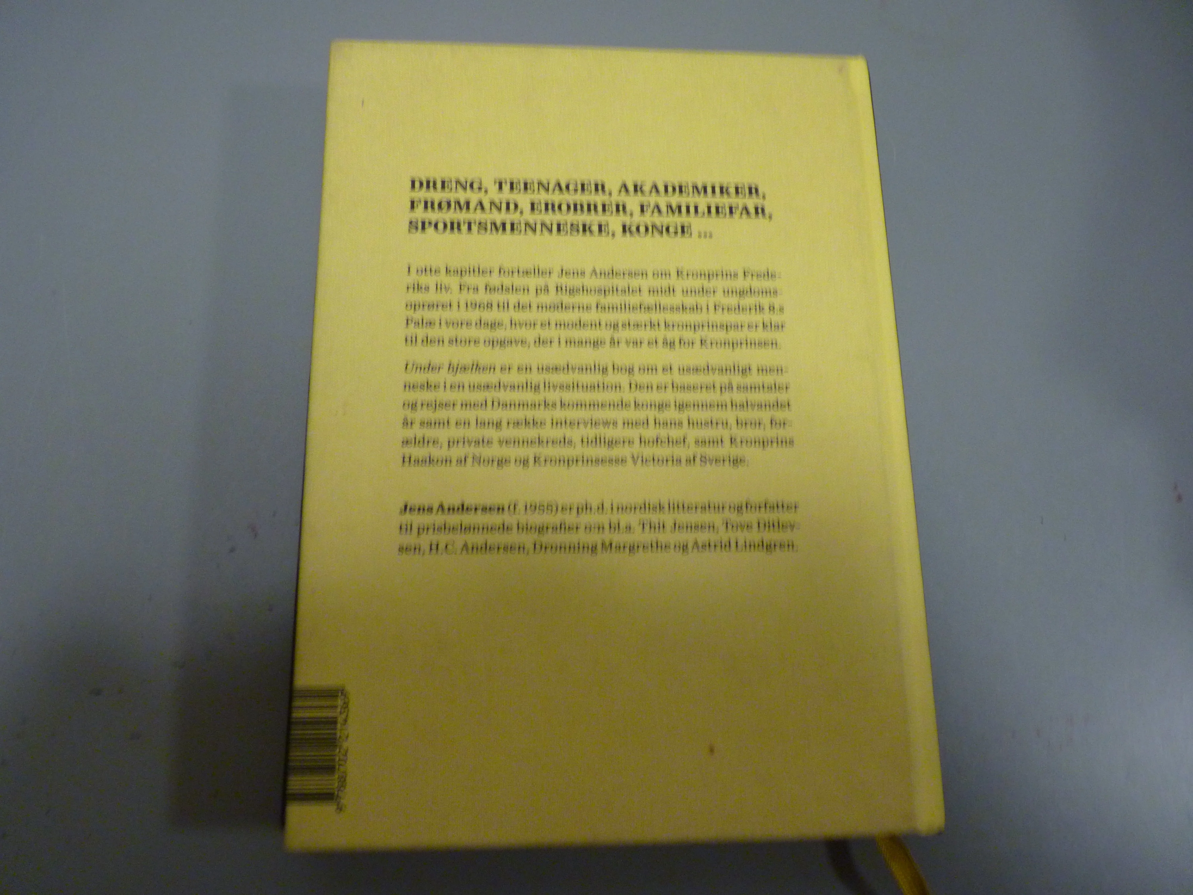 UNDER BJÆLKEN Et portræt af Kronprins Frederik af Jens Andersen