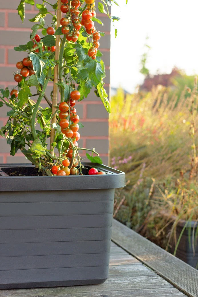 Parsell singel, dyrkepotte med selvvanning på hjul - lys grå