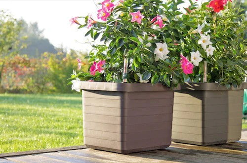 Parsell singel, dyrkepotte med selvvanning på hjul - lys grå