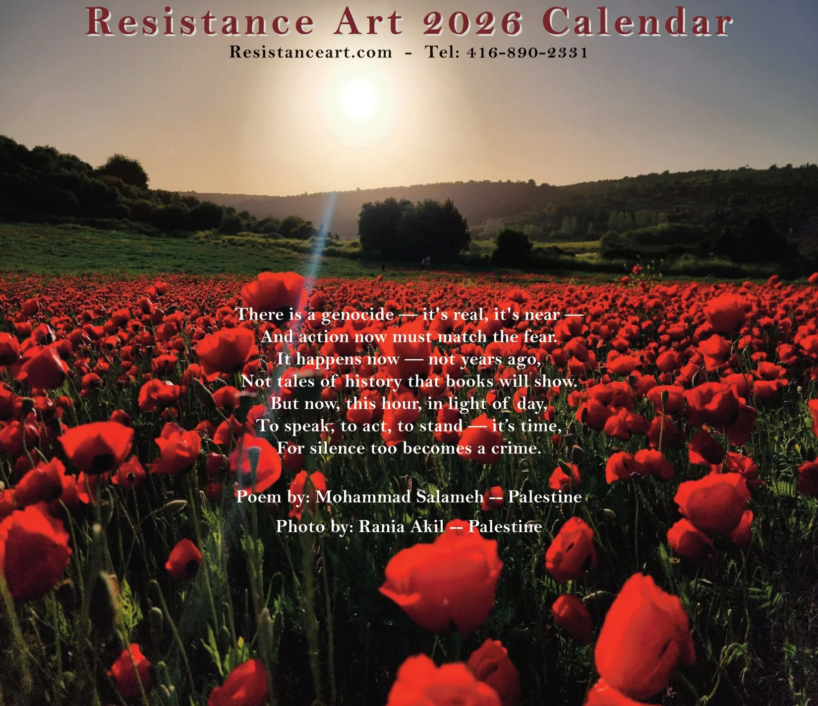 Colours from Palestine 2026 Resistance Art Calendar