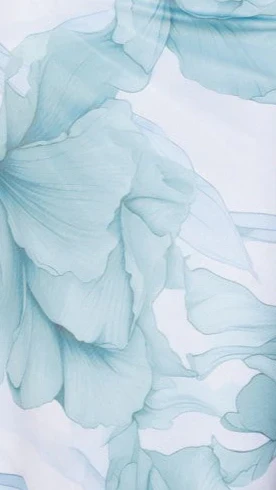 Coda Maxi Dress - Blue Floral