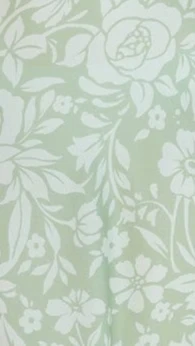 Rubie Maxi Dress - Lime Floral