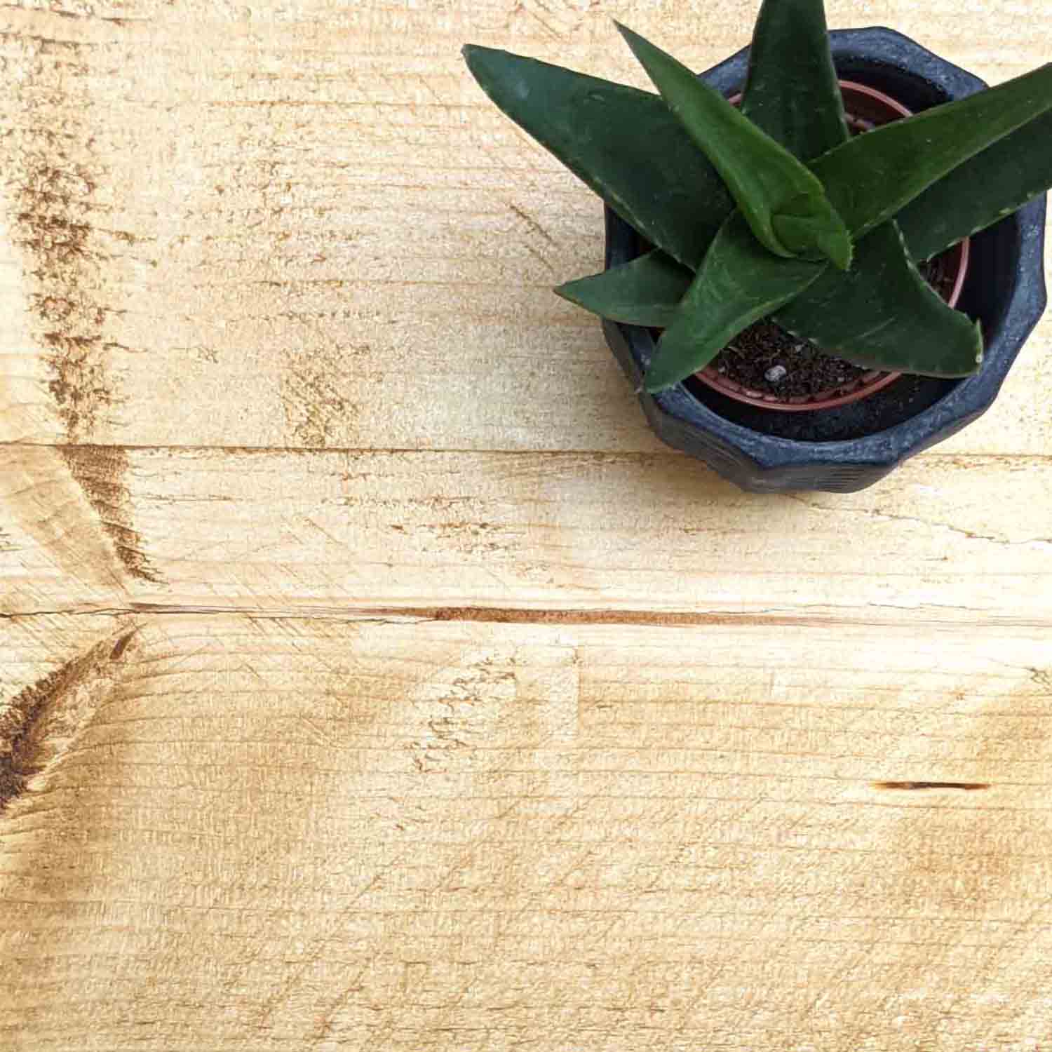 Rustic Floating Shelf | Thin | 15cm Depth