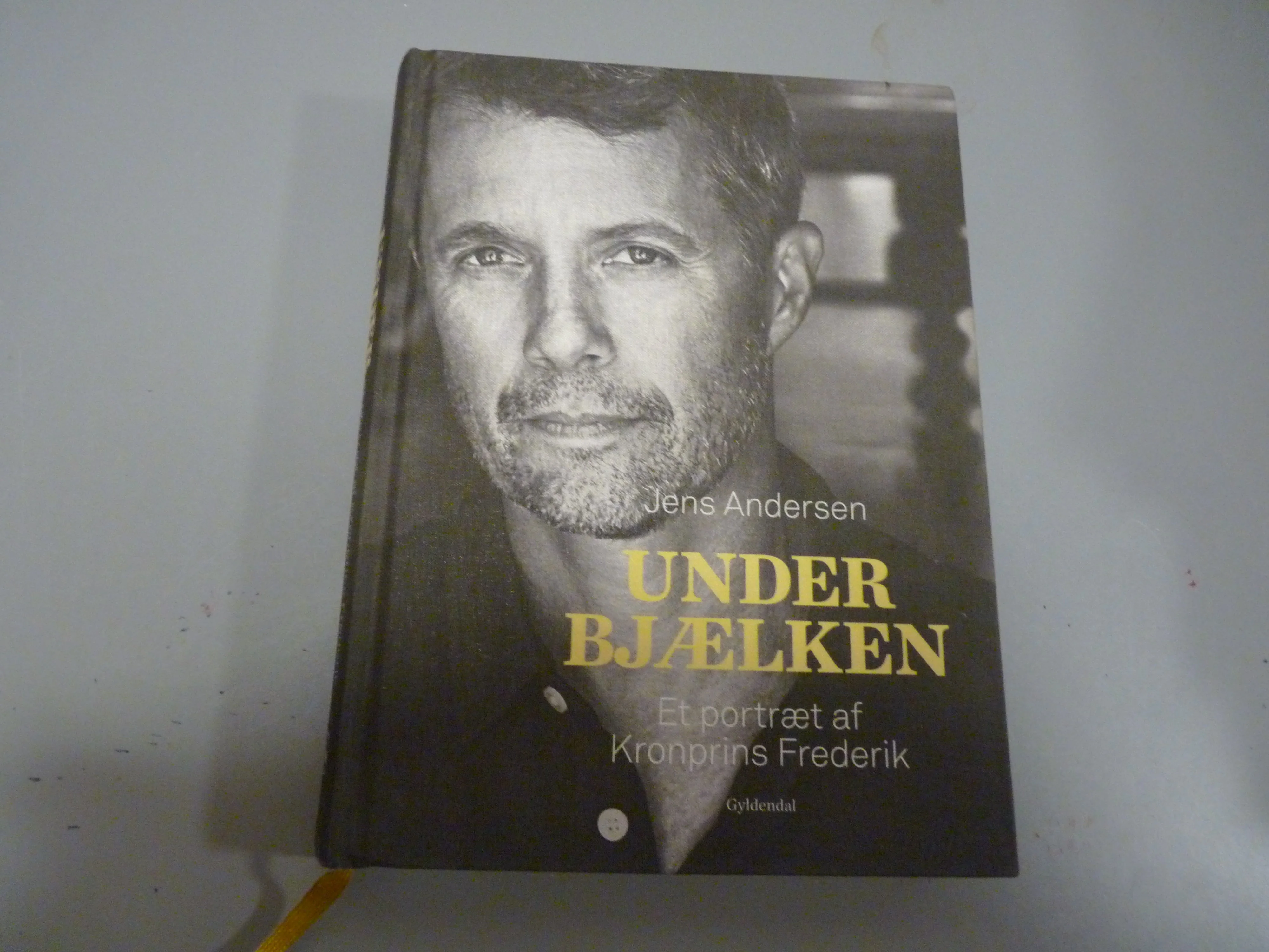 UNDER BJÆLKEN Et portræt af Kronprins Frederik af Jens Andersen